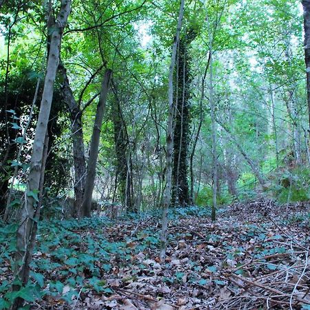 Eco Camping Juncal Hotel Marco de Canavezes Buitenkant foto