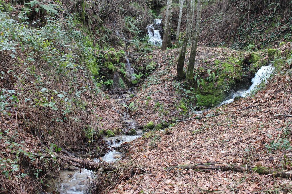 Eco Camping Juncal Hotel Marco de Canavezes Buitenkant foto