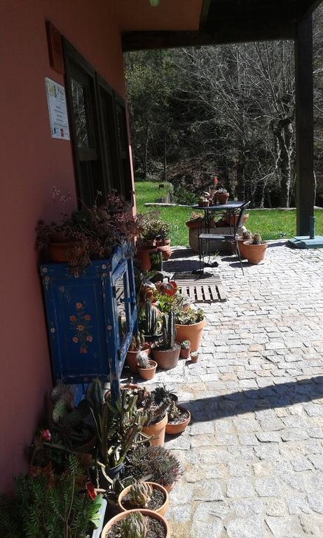 Eco Camping Juncal Hotel Marco de Canavezes Buitenkant foto