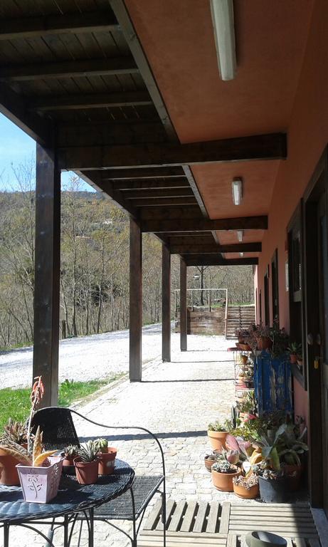 Eco Camping Juncal Hotel Marco de Canavezes Buitenkant foto