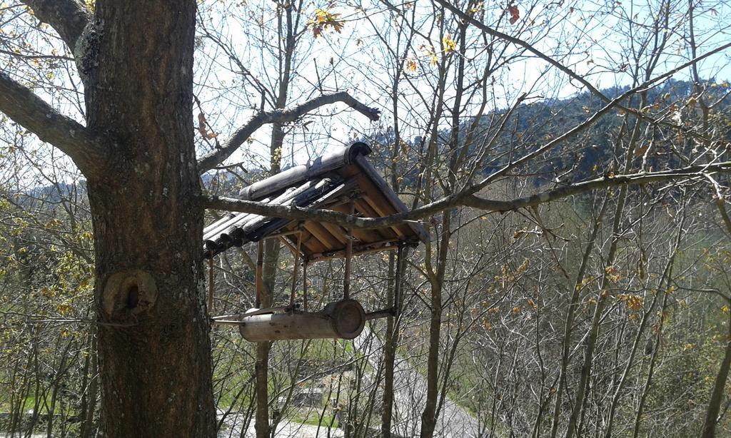 Eco Camping Juncal Hotel Marco de Canavezes Buitenkant foto